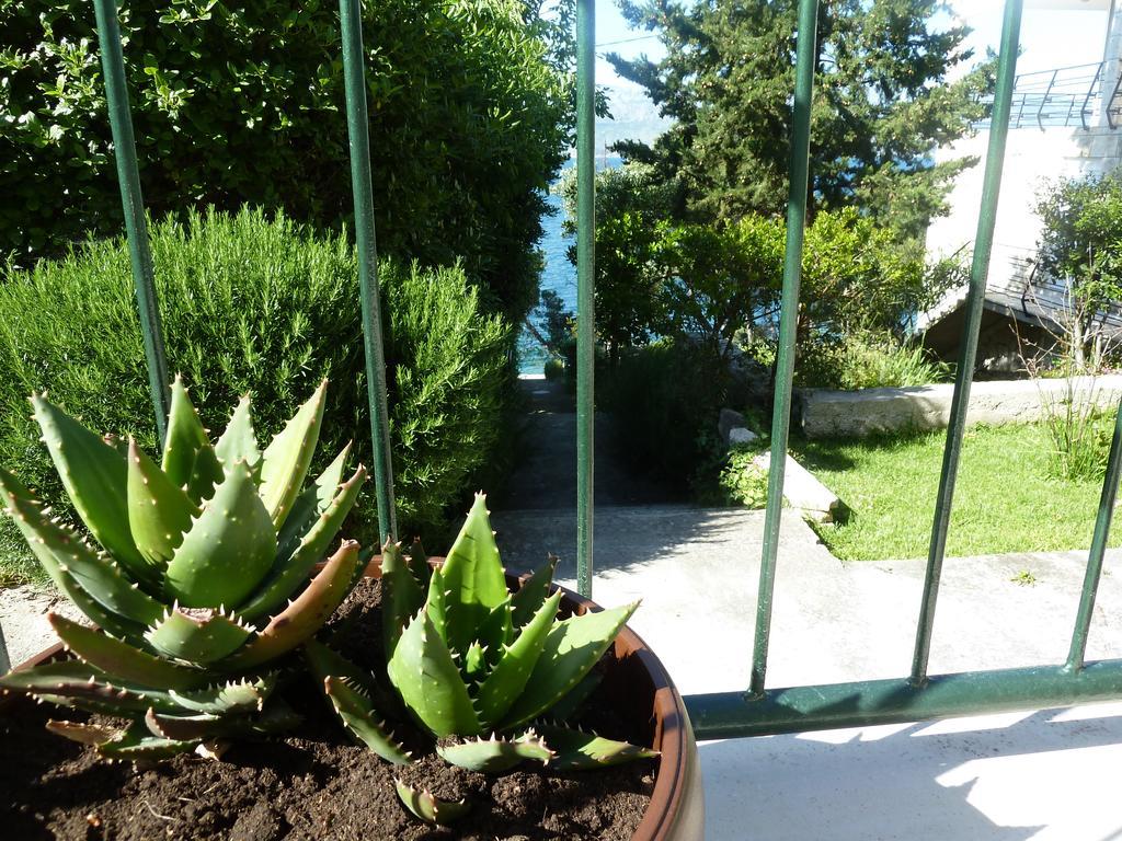 Apartment Vanda Сплітська Екстер'єр фото